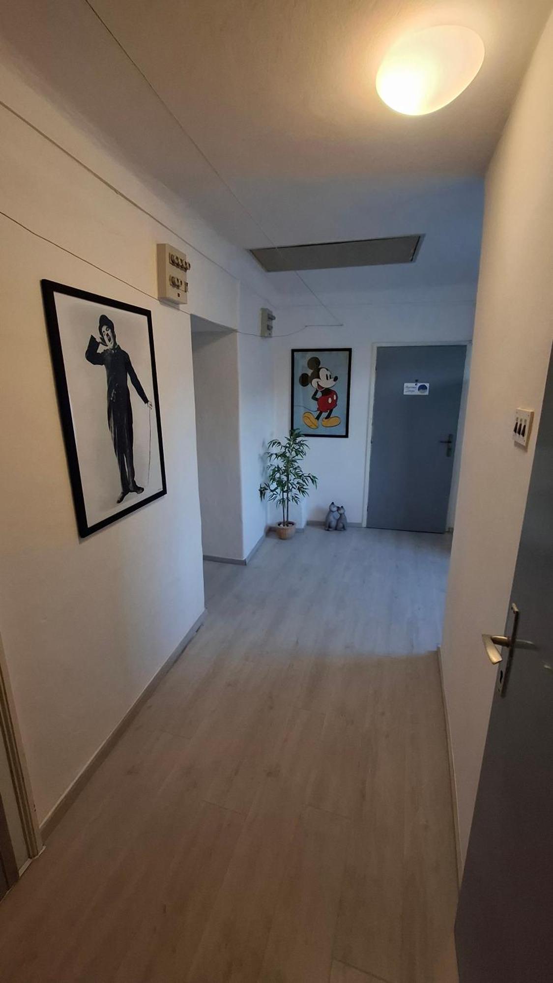 Apartman Darija Pazin Buitenkant foto